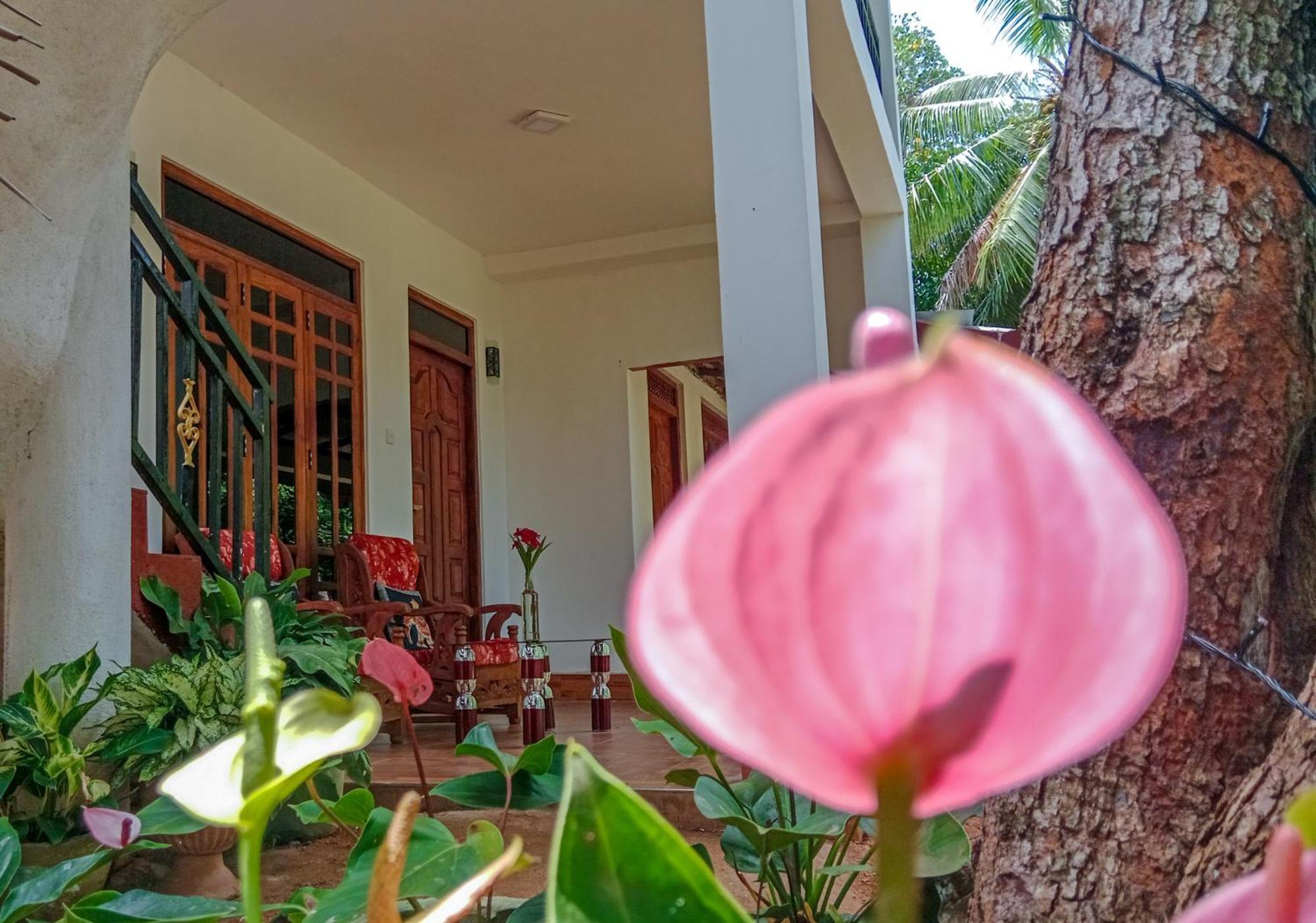 Gimhana Homestay Sigiriya Exteriör bild