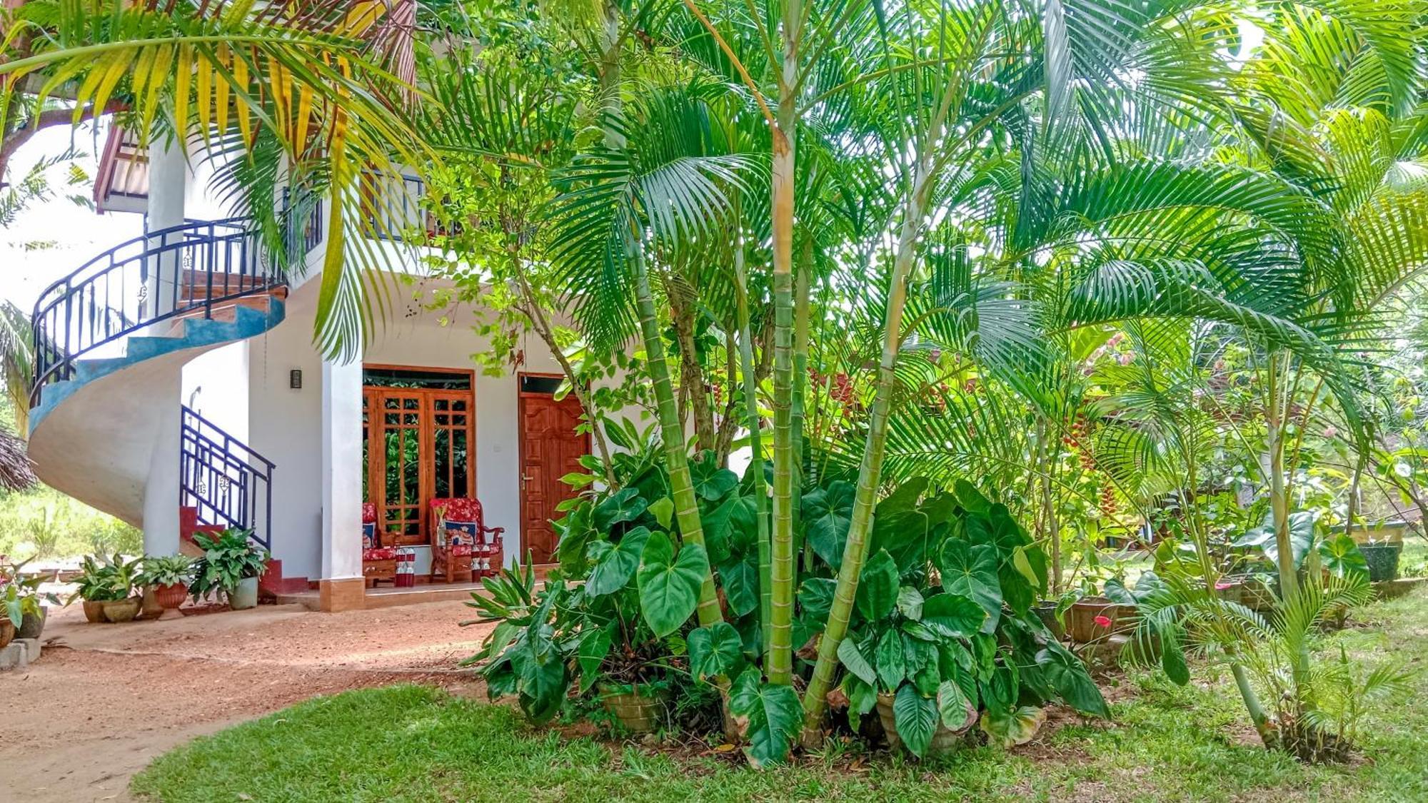 Gimhana Homestay Sigiriya Exteriör bild