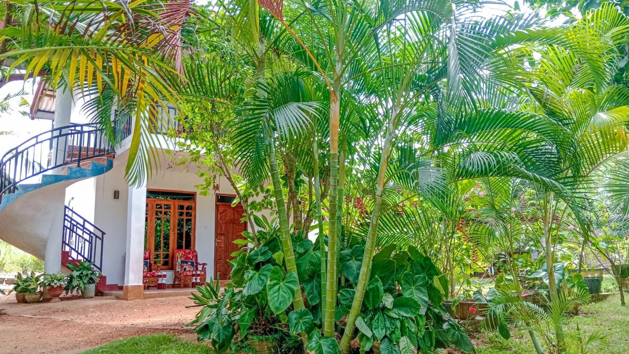 Gimhana Homestay Sigiriya Exteriör bild