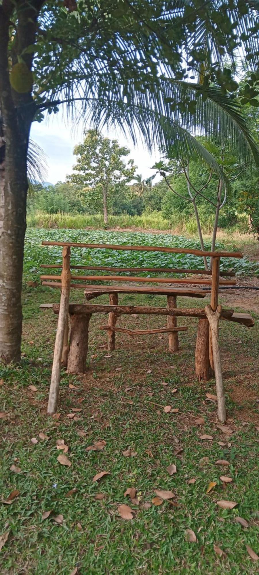 Gimhana Homestay Sigiriya Exteriör bild